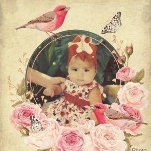 Meet your Posher, Dulce